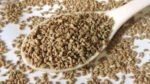 Ajwain