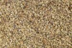 Ajwain - Image 3