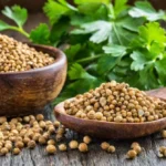 Coriander Seeds