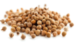 Coriander Seeds - Image 3